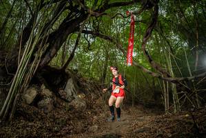 BIB: 
                            <button type="button" onclick="openModal(22179159)" class="btn btn-primary btn-sm float-right btn-popup" data-toggle="modal" data-target=".modal-high-quality">
                        <i class="fas fa-shopping-cart"></i> Add to Cart
                    </button>
                                            <button type="button" onclick="isThisMe(22179159, true)" class="btn btn-success btn-sm float-right btn-popup btn-isme hidden" data-toggle="tooltip" data-placement="bottom" title="นี่คือรูปของคุณใช่ไหม คลิกที่นี่เพื่อเอาเข้าอัลบั้ม">
                        <i class="fas fa-plus"></i> Add to album
                    </button>
                    <button type="button" onclick="isThisMe(22179159, false)" class="btn btn-warning btn-sm float-right btn-popup btn-isnotme hidden">
                        <i class="fas fa-ban"></i> Remove from album
                    </button>